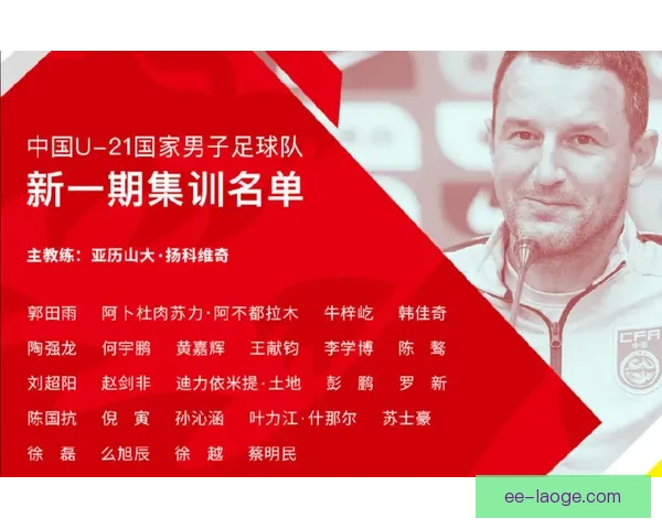 手把手教你快速查看国家队最新大名单权威渠道指南全面解析获取方法